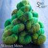 SpaceMonsters Exclusive Dec 2023 "Winter Moss"